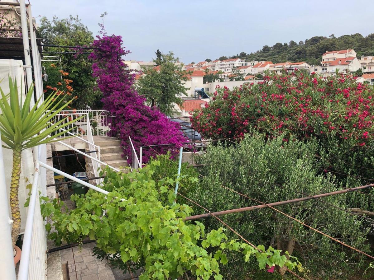 Cozy New Flat For 2 Or 3 Lejlighed Hvar Town Eksteriør billede