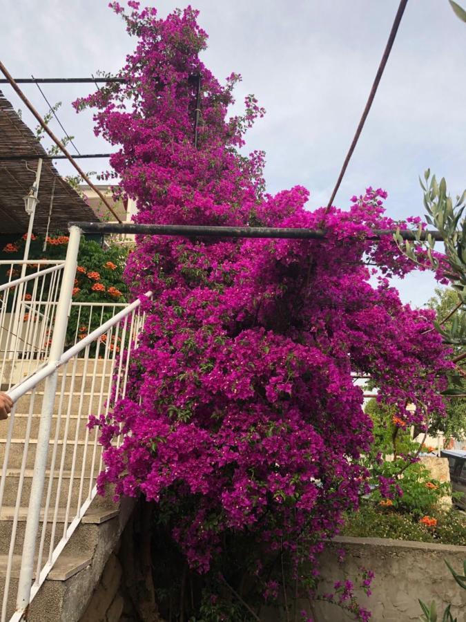Cozy New Flat For 2 Or 3 Lejlighed Hvar Town Eksteriør billede