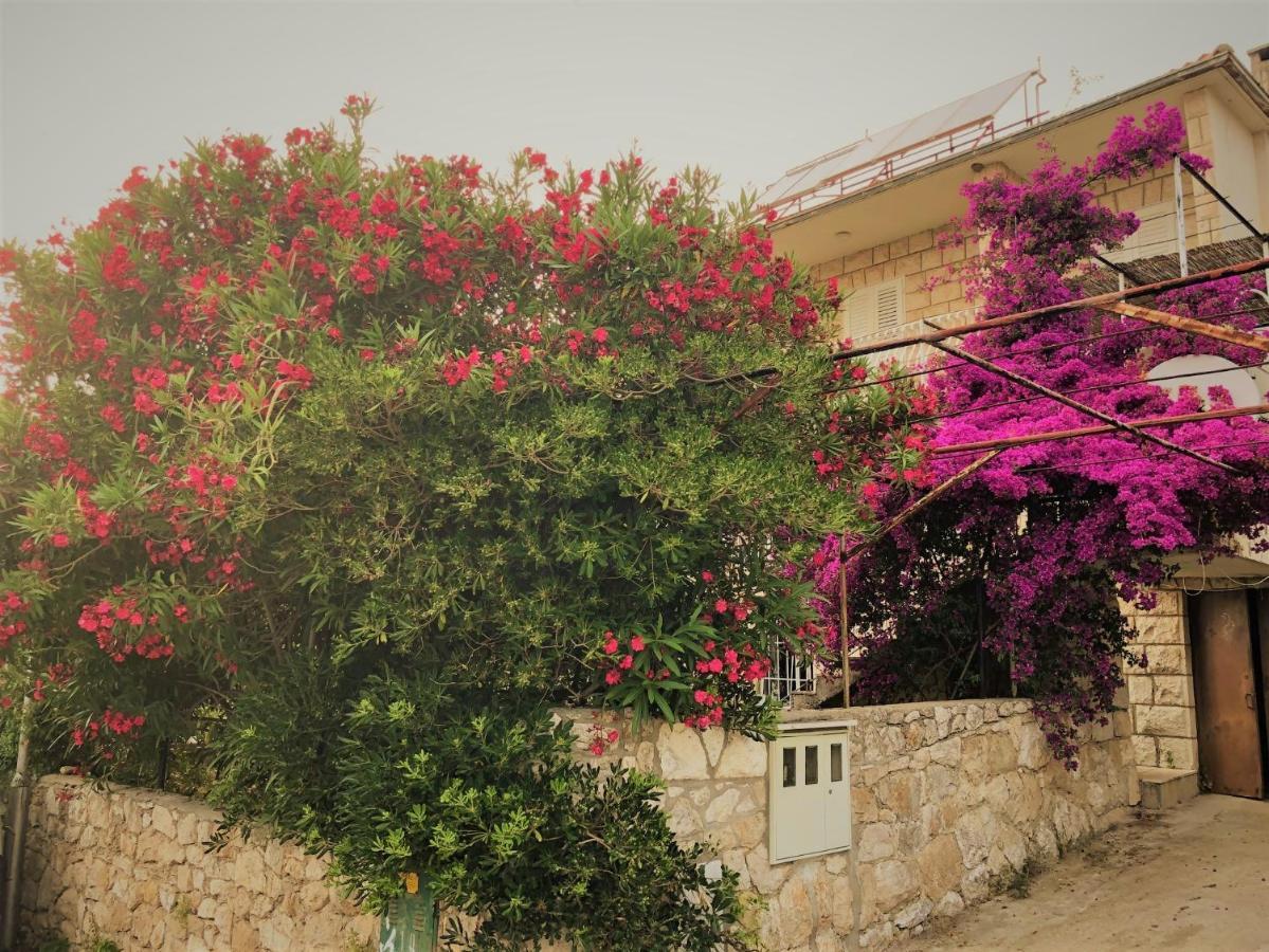 Cozy New Flat For 2 Or 3 Lejlighed Hvar Town Eksteriør billede