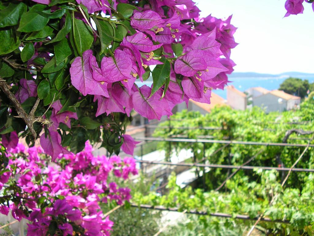 Cozy New Flat For 2 Or 3 Lejlighed Hvar Town Eksteriør billede